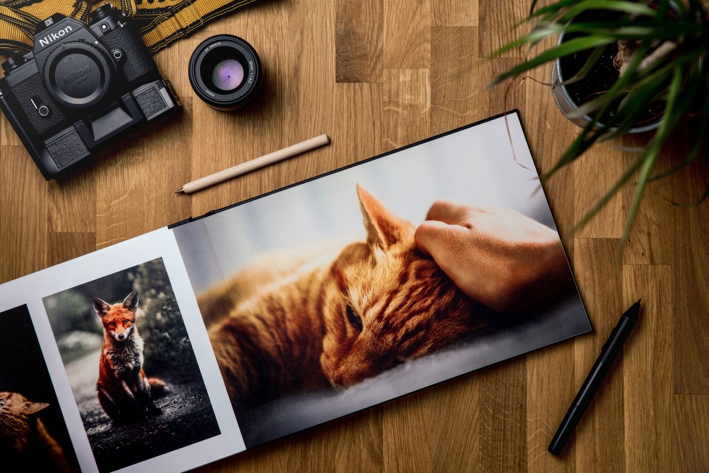 An open photo book showing cat photographs beside a camera and pens.