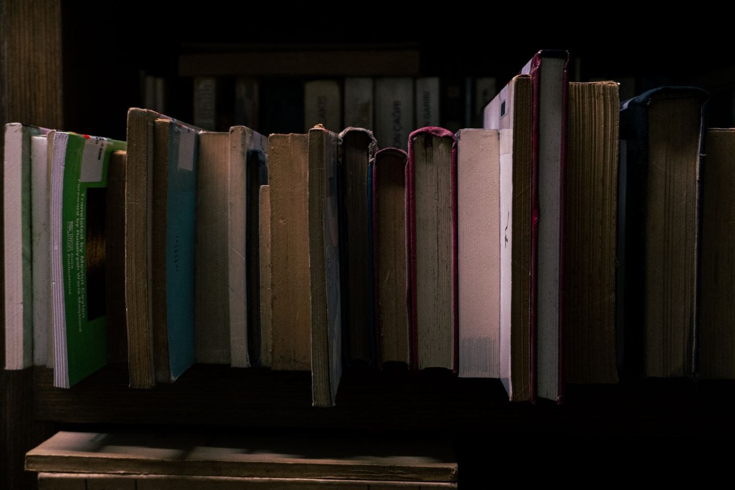 A row of worn books on a wooden shelf.
